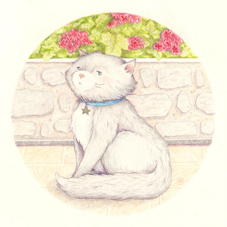 George the Cat George the Cat