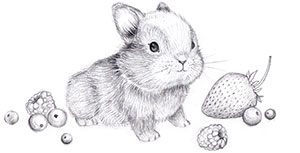 lil bunbun